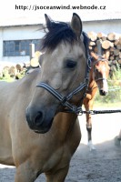 /album/jsoceanwind/foto2-2-jpg/